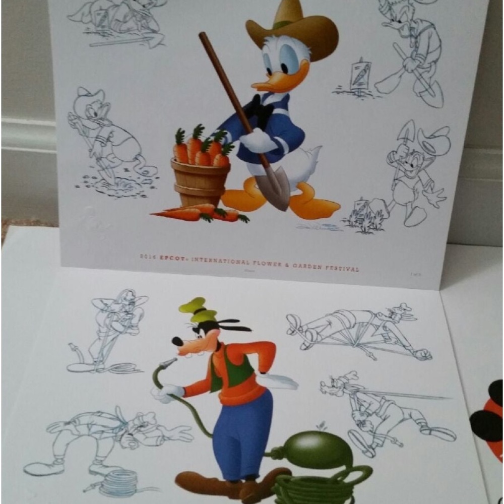 EPCOT 2016 FLOWER AND GARDEN PRINTS
